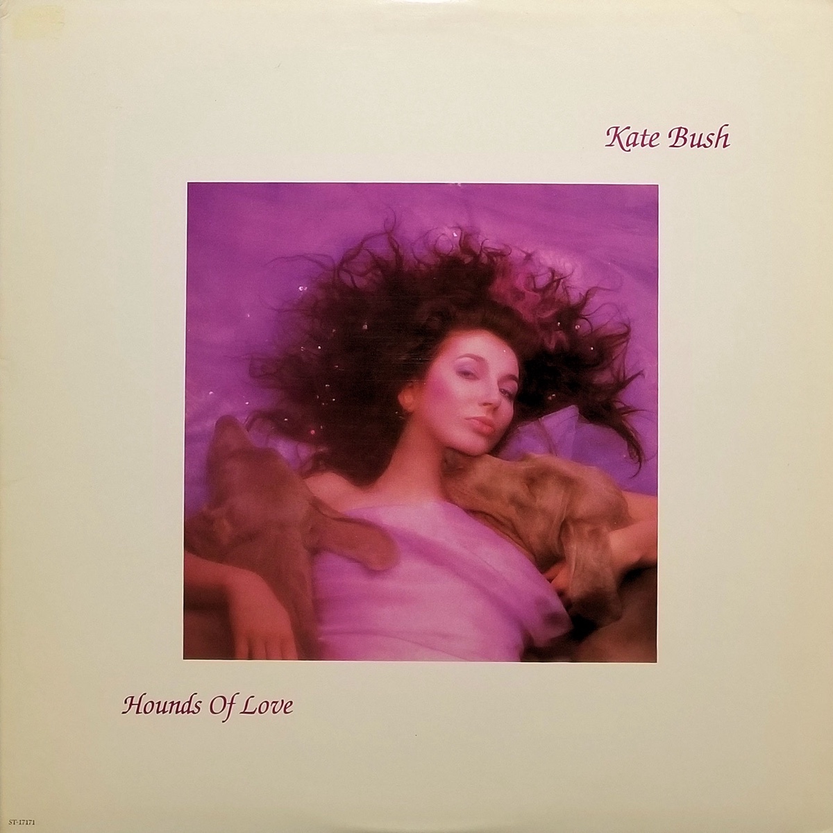 Hounds of Love by Kate Bush — album cover